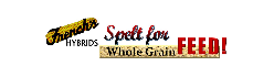 Spelt Feed Flyer Pricing & Info